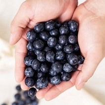 생 블루베리 생과 칠레 국산 미국산 제철 부르베리 250g, 상세페이지 참조