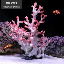 팬더코리 물고기 산호 나무 작은 조경 전체 패키지 장식 바다 풍경 잔디, 흰 박쥐 산호