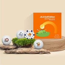 제주 골프 에디션 2종 골프공 볼마커 선물세트, 볼2개 + 볼마커1개