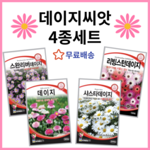 주주씨앗 데이지씨앗 4종세트 샤스타데이지 스완강데이지 리빙스턴데이지 꽃씨 종자 봄꽃씨 여름 가을 파종 텃밭 화단 정원