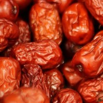크기 소과 지역 랜덤 특급 사과대추 1kg 묘목 나무 효능 가격 판매 재배, 본상품