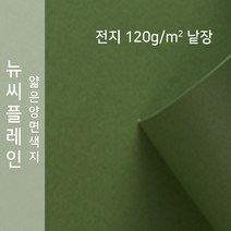 뉴씨플레인 종이문화 얇은 양면색지 120g 전지 낱장 1매 No.62 솔잎색, 1장