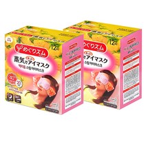 메구리즘 멕리듬 스팀 아이마스크 유자향 12매입 X2개, 12개입, 2개