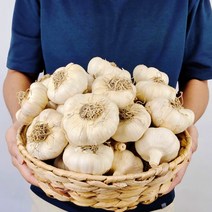 산지직송 농장직송 유황 먹은 홍산마늘, 5kg / 대, 1개
