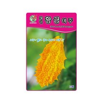 제일황금여주 씨앗 채소 여주종자(10립) MK142