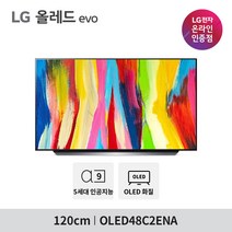 LG 올레드 evo 게이밍 TV OLED48C2ENA 120cm 48형, 벽걸이형