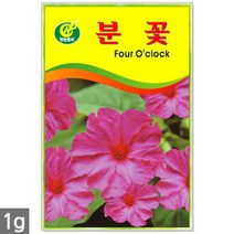 강낭콩 2g - 콩 씨 씨앗 강낭콩씨앗 강남콩씨앗 강낭콩씨, 12_청농_분꽃(1g)