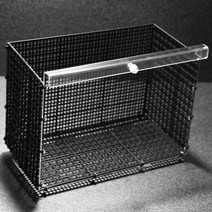 루바망 부화통 일반형 아크릴 루바망 자연출산 폭번부화통, 10cm.15cm.15cm(H)