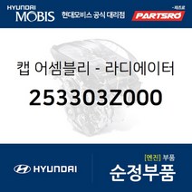 라디에이터 캡 (253303Z000) 엑센트 제네시스 I40 투싼IX 현대모비스 부품 공식대리점 온라인쇼핑몰 파츠로