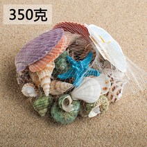 300일 셀프촬영 배경 소품 용품 앨범 조개껍질 장식, 350g 소라조개