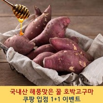 [1+1 증정] 국내산 해풍맞은 당진 고구마 꿀고구마 고구마5kg 고구마10kg 강아지고구마 고구마다이어트 냉동고구마 햇고구마 해남밤고구마 해남꿀고구마 군고구마 찐고구마 황토고구마, 세척 호박고구마(특상품), 10kg+10kg