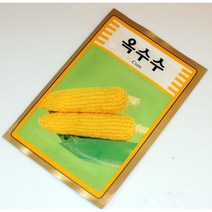 유치원 원예 식물 재배 옥수수 꽃씨 재배키트 식물키우기 식물키트 재배세트 교육재배키트 어린이