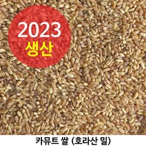 2023년산 카뮤트 호라산밀 다이어트와 당뇨에 좋은 슈퍼푸드 카뮤트쌀 5kg, 1개