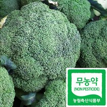 국산 친환경 무농약 브로콜리 (1통당 약300-350g), 4통 (약 1.2kg~1.4kg)