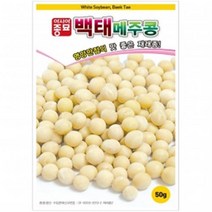 (콩씨앗종자) 백태콩(메주콩)(1kg)
