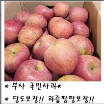 맛 보장!! 과즙팡팡 보장!! 산지직송 고당도 청송 부사 사과 3kg/5kg/10kg, 3kg(꼬마사과)_12~17개