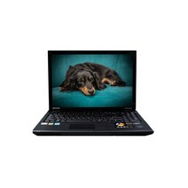 2023년 중고노트북 모음 삼성 LG HP 등 노트북 (SSD120GB+윈10), 05-LG X-NOTE R560 S530, 윈도우10, 4GB, 120GB, 인텔