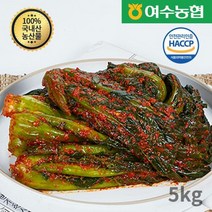 여수농협 여수돌산 갓김치, 5kg, 1개
