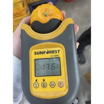 탐라인 신품종 설국향 상품 5kg, 1박스
