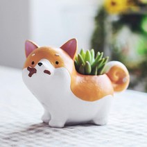 ROOGO 루고 화분 애견 화분 간식먹자 코기
