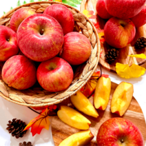 최저 경북영천 꿀당도 맛있는 사과 3kg, 대과, 1박스