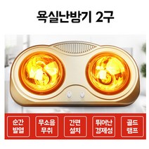 화장실 전기 히터 2구 욕실 램프 온열등 전열기 욕실용 난로 열풍기 벽걸이 보온등 히터기 목욕탕 난방, 단품