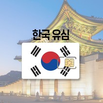 한국 유심 LTE 완전무제한 7일 30일 국내 KT SK 여행 출장 선불 유심칩, SKT KT 매일 500MB, 3일