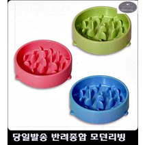 식기 도베르만사료 비숑사료추천 잘못된 식습관 고쳐주는 6개월강아지사료, 블루