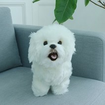 비숑프리제 보들보들 리얼 강아지인형 진짜같은 애착 동물인형 위더펫