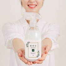 노마인드 편천수 피톤치드 편백 스프레이, 500ml 1개