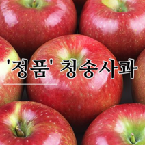 [청송사과] 정품사과 산지에서~ 믿고먹는 소미네사과, 1개, 08.정품사과 10kg 선물/재수용 (22과~24과)