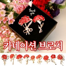 카네이션 브로치