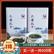 차이준 우전차 2020년 신다육안과편 우전 특급 녹차 안휘 금채차 1회분 500g 증정