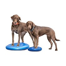 FitPAWS 핏포즈 22인치 개 훈련 재활 균형 디스크 블루