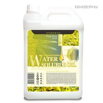 에스테소피 일랑일랑 워터솔루블 수용성 순한 바디 마사지 오일 5L, 1병, 1000ml