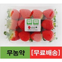 무농약 딸기 1kg 친환경 산지배송 논산 설향 딸기