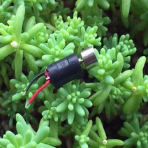 진동모터 전기모터 서보모터0408 코어리스 진동 모터 고무 슬리브 해머 헤드 포함 DC 1.5V-6V 3V 3.7V 정, 한개옵션0