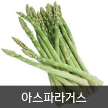 약수농장 생 아스파라거스 1kg, 1박스