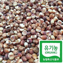 국산 친환경 잡곡 유기농 차수수 급식 잡곡 콩, 1봉, 500g