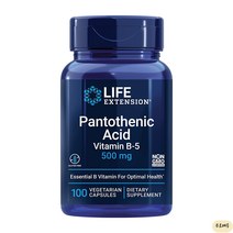 라이프익스텐션 판토텐산 B5 500mg 100개입 Pantothenic Acid [미국 직배송], 1개, 100개