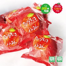 GAP 저탄소인증 당도선별 세척사과 대과 4kg(14~16개입) 껍질째먹는사과/BFK