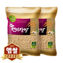 현대농산 2022년 햅쌀 국산 현미찹쌀 찰현미 10kg (5kgX2봉), 1개, 5kg*2