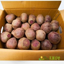 [프레시팜] 국내산 레드비트 착즙용 상품 5kg 내외