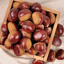 [부여직송]23년 햇 알밤 2kg(중)/부여 굿뜨래 알밤, 단품