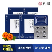 [유통기한 23.6.27]천지양 눈엔 초임계 루테인 아스타잔틴 4박스, 단품, 단품