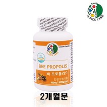 캐나다직수입 프로폴리스 분말 수용성프로폴리스 고함량 플라보노이드 추출물 bee propolis 구강 목건강 항산화 환절기 황사철 온가족용, 1개, 캡슐