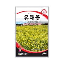 모칸도 (무배)세계 유채꽃 꽃씨 (1000립)