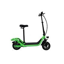 중국 전자 자전거 공장에서 리튬 배터리 철 프레임 전면 및 후면 디스크 브레이크 미니 전기 자전거, 녹색