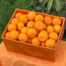 [당도선별과] 제주 카라향 선물용 가정용, b. 3kg(프리미엄사이즈), 1개