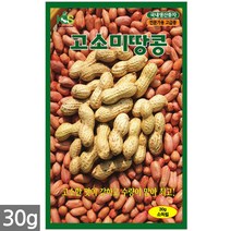 3종 모듬 당근 씨앗 1g - 씨 당근씨앗 당근씨 노랑당근 자색당근 빨간당근 자색당근 주말농장 텃밭, 01_고소미땅콩(30g)
